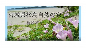 ２０２１年４月 宮城県東松島市宮戸島 本館施設がオープンし，野外活動フィールドと併用できる自然の家となりました。 この動画は，これまで本所を訪れたことがない方々に，施設のイメージを持っていただくためのものです。 美しい海と緑の宮戸島へぜひお越しください。 | 宮城県松島自然の家