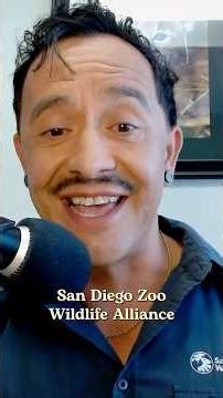 The San Diego Zoo is the place to BE!