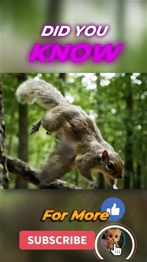 “Flying Squirrel: The Mammal That Glides Over 150 Feet!”