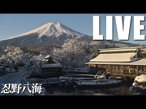 世界遺産富士山ライブカメラ(忍野八海から)[4K] - [4K]Mount Fuji webcams (Oshino Hakkai) from Japan. 【world heritage】