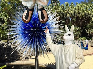 Watch Everything you need to know about Birkenstock sandals on Amazon Live