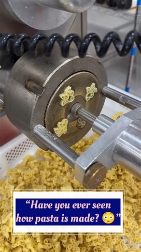 How Pasta Is Made in Factory 😳 | Amazing Pasta Making Machine. #shorts #pasta