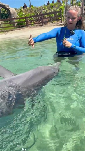 Watch positive reinforcement training in action!