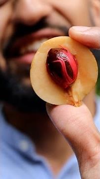 Did You Know NUTMEG Can Get You High?