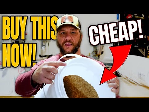 Buy These 3 Forever Foods Before It's Too Late!