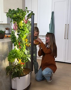 191 reactions · 87 shares | POV: School lunches just got interesting  Your kid used to refuse anything green. Now they're packing cherry tomatoes like candy  What changed? With Gardyn, they're eating what THEY grew. And you're just standing there feeling like parent of the year   Fresh, pesticide-free ⏰ Picked minutes before lunch  Growing in two square feet, anywhere in your home | Gardyn | Facebook