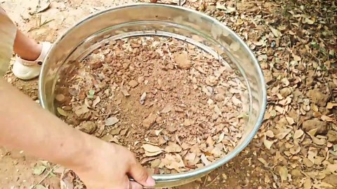 19'' Extra Large Soil Sifter with Handles, Compost Sifter for Gardening, Dirt Sifter,Rock Sifter,Garden Sieve for Compost Dirt Rocks Pellet Gravel Sand Leaves,Garden Tool 19" x19"x4.3" with 1/4" Mesh