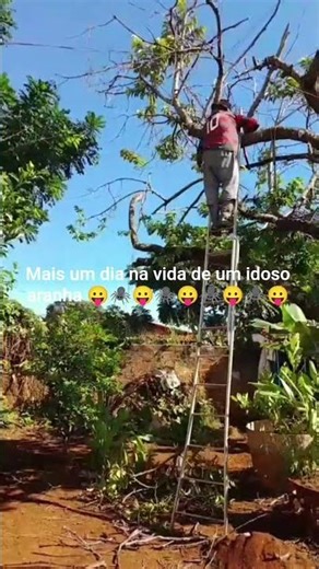 uma poda controlada.kkkkkk😂😂😂😂😂😂😂😂😂
