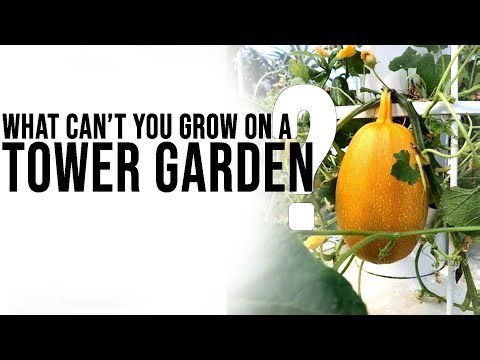What CAN'T Grow On A Tower Garden? Exploring The Limits Of Vertical Farming