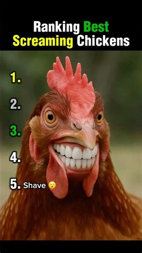 Ranking Best Screaming Chickens 😂 #shorts