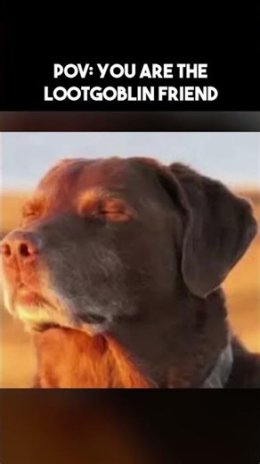 POV YOU ARE THE LOOTGOBLIN FRIEND