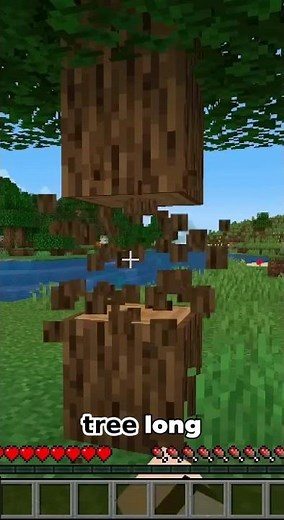 Minecraft Beginner's Guide: How to Craft Your First Tools