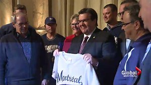 Montreal gets semi-pro baseball team
