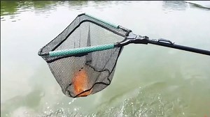 SAN LIKE Fishing Net, Folded Landing Nets with Telescopic Rod Durable Rubber Coated Net Fly Fishing Net Easy to Catch and Release Saltwater and Freshwater Use 43inch