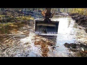 Forest Road Work In The Swamp