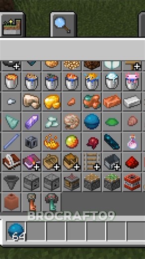 Minecraft Secret Items🙈