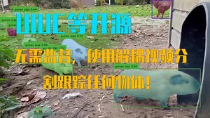 UIUC&Adobe开源|无需监督，使用解耦视频分割跟踪任何物体！ICCV23