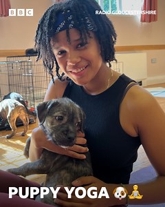 41K views · 133 reactions | How cute is this! 殺 Puppy yoga looks AMAZING! 律 | BBC Gloucestershire | Facebook