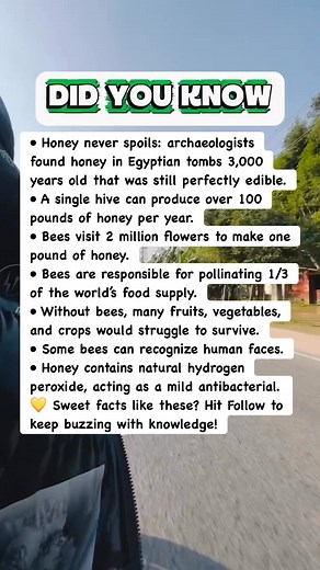 Sweet & Shocking Honey Bee Facts! #facts | Devlop Express