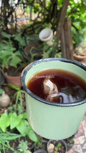 Understanding Prebiotics and Probiotics in Gut Health