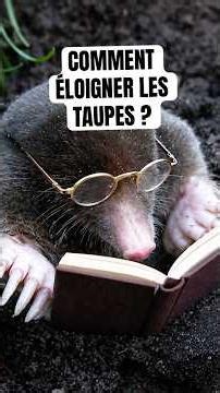 Comment éloigner les taupes ? #Jardin #Jardinage #Potager #conseil #astuce #Taupe #decoction #sureau