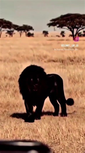 #mahindra #airplane #splendor #blackhorse