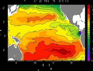 The depths and Salinity