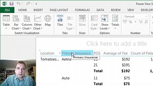 Excel Video 492 Power View Matrix