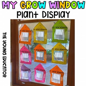 MY GROW WINDOW | Plant Window Display | Life Cycles | Grow a Plant | Jack and the Bean Stalk | Experiment | Grow a Seed | Living Things - Etsy
