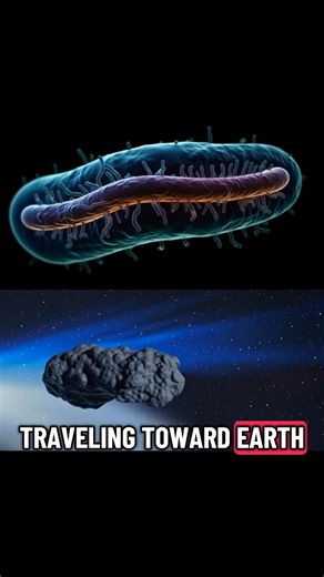 3i Atlas is a living being | Project bill dynamics