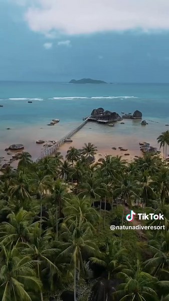 Discover the perfect harmony of contemporary design and tropical paradise at Natuna Dive Resort. From our thoughtfully crafted rooms to breathtaking aerial views - every corner tells a story of elegance and serenity ✨ Your sanctuary in the heart of paradise awaits 🌊 #NatunaDiveResort #ModernTropical #IslandLuxury #NatunaIsland #ArchitecturalBeauty #TropicalDesign #Paradise #ResortLife #IndonesiaTravel #IslandEscape