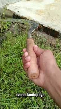 Yuk di order promo gratis ongkir untuk 10 org pertama