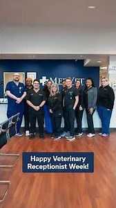 Being a Client Service Representative at MedVet