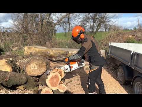 STIHL MSA 300 Chainsaw using the BRAND NEW AP500s Battery