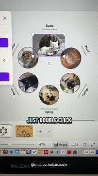 Create a rotating photo gallery in Canva!