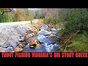 Trout Fishing Virginia's Big Stony Creek