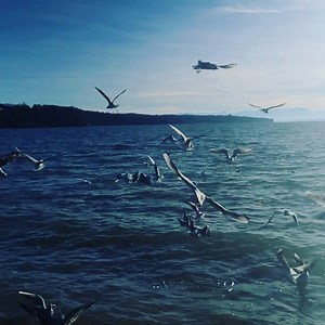 8.3K views · 440 reactions | Slow down.Breathe. Be #meditation #letloverule #breathe #experience | Hans Sigl | Facebook