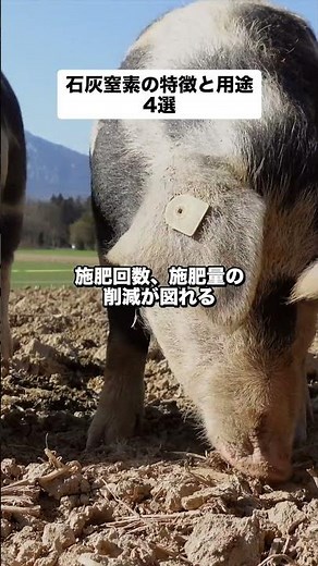 農家はみんな知っている？石灰窒素の特徴と用途4選！_21