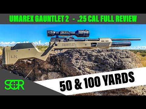 Umarex Gauntlet 2 - .25 CAL FULL REVIEW - 50 Yards & 100 Yards Accuracy Test and more!