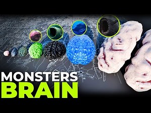 Monster Brain Size Comparison 3D 🧠 | Sea Eater VS Behemoth