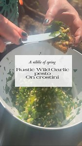 🌿 Wild Springtime Foraging with Wild Wood Tots 🌿 This morning’s adventure was a treasure trove of nature’s delights! 🍃 We explored the woodland, discovering a variety of edible and non-edible plants, deepening our connection with the forest and learning how to forage safely. We are super blessed in the woods we hold wild wood tots with many springtime edibles to choose from and Wild garlic grows abundantly…with only a few weeks left before sure to safely forage some to receive its many nutrit