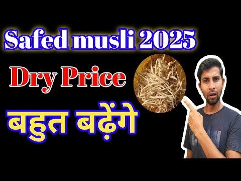 White musli 🪴 Price of white musli is going to increase a lot in 2025. How to price white musli i...