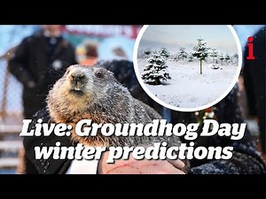 Groundhog Day 2023 live stream: What time it’s on in UK today and how to watch Punxsutawney Phil’s predictions