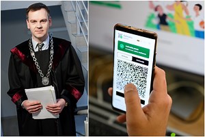 Teisėjas paaiškino, kas gresia už galimybių paso klastojimą