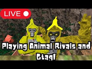 Playing in Animal Rivals and Gtag!!!!!!!