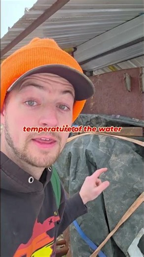 How my outdoor wood burner/ boiler works. #shorts #freefire #heat #fire #free #diy #homestead #wood