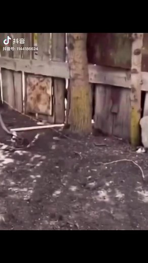 27K views · 425 reactions |  | Study With Me | Facebook