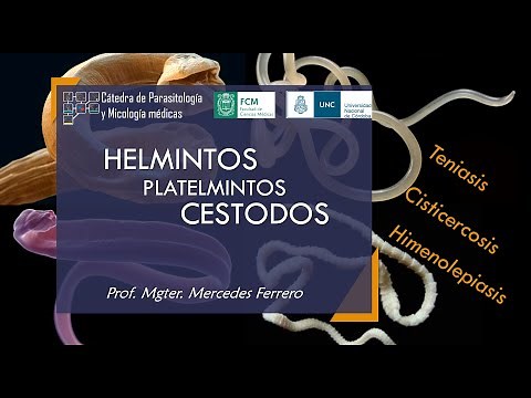 Helmintos-Platelmintos-CESTODES