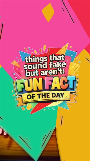 Mantis shrimp punch so fast they briefly boil water. Their strike creates a bubble that collapses with heat and light, meaning the punch actually lands twice. Physics did not consent to this. The ocean chose violence and science. #LearnOnTikTok #TikTokLearningCampaign #FunFacts #AnimalFacts #ScienceFacts