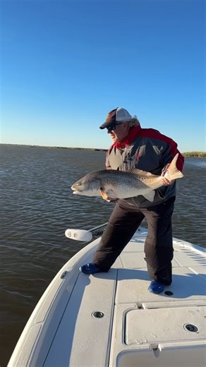 Another awesome day out with Cajun Fishing Adventures! Always a good time. 📌 cajunfishingadventures.com Yamaha Outboards Power-Pole Total Boat Control @skeeter_boats Z-Man Fishing Products Simrad Yachting @cajunoutboardsla #cfalodge #cajunfishingadventures #cajunfishing #cajunhunting #louisianafishing | Cajun Fishing Adventures